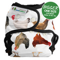 NEW! Best Bottoms Bigger Nappy Shell: Mother Clucker