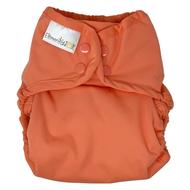 50% OFF! Bumgenius Elemental Joy All-in-one Nappy
