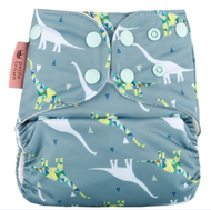 NEW! Petite Crown All-in-two Nappies