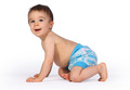 25% OFF! Petit Lulu Wool Soaker: Turquoise Hedgies