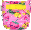 NEW! Ecopipo Onesize Pocket Nappy V2: Tutti Fruiti