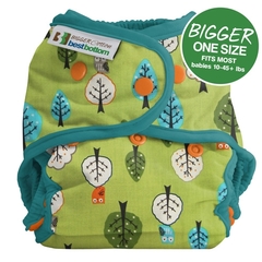 NEW! Best Bottoms Bigger Shell Cotton: Family Tree