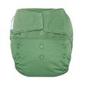 35% OFF! Grovia Onesize Hybrid All-in-two Nappy: Basil