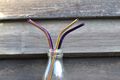 NEW! Eco Steel Straws