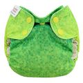 NEW! Blueberry Organic Newborn Simplex: Emerald Ombre
