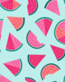 NEW! Bambooty Car Seat Protector: Melon Madness
