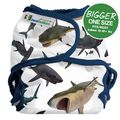 Best Bottom Bigger Nappy Shell: This Bites