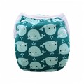 NEW! Alva Baby Swim Nappy: Junior: Whales Teal