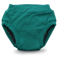 Rumparooz Ecoposh OBV Training Pants: Atlantis