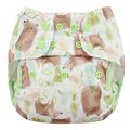 NEW! Blueberry Onesize Capri Nappy Wrap: Grizzly