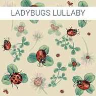 60% OFF! Little Lamb Pocket Nappy: Size 1: Ladybug Lullaby