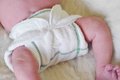 NEW! Seedling Baby Diversifold Bamboo Prefold