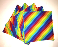 Jumbo Reusable Wipes 5pk: Rainbow Stripe