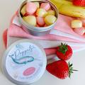Poppets Cloth Wipe Solution: Tin of 20: Summer Smoothie