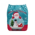 Alva Baby Onesize Nappy: Santa's Snowglobe