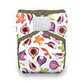 50% OFF! Thirsties Onesize Natural Pocket Nappy: Fig