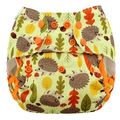 25% OFF! Blueberry Onesize Capri Nappy Wrap: Autumn