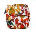 SALE! Bear Bott Newborn All-in-two Nappy Shell: All the Fall Things