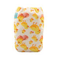 NEW! Alva Baby Newborn Nappy: Chickies