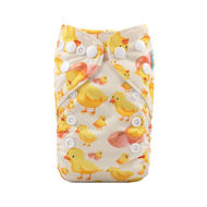 NEW! Alva Baby Newborn Nappy: Chickies