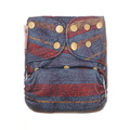 70% OFF! Petite Crown Swim Nappy: Onesize: Zion