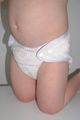 Bear Bott Onesize Fitted Nappy