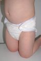 NEW! Bear Bott Onesize Fitted Nappy