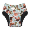 Thirsties Potty Training Pants: Red Panda