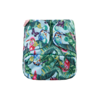 30% OFF! Petite Crown Swim Nappy Plus XL: Oasis (green snap)