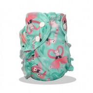 NEW! Applecheeks Swim Nappy: Flamingle