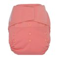 35% OFF! Grovia Onesize Hybrid All-in-two Nappy: Rose