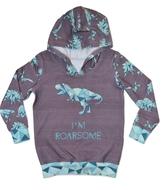 3-4yrs Hoodie: Roarsome